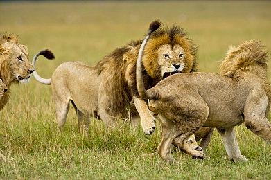 《鬼泣5》《龙之信条2》导演伊津野英昭离开Capcom