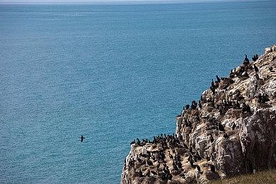 《战舰世界》万圣节活动预告发布 暮光狩猎上线